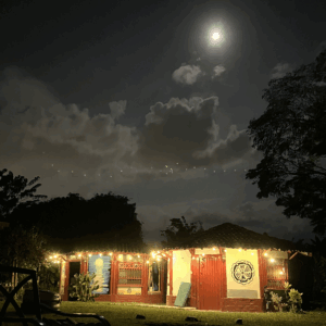 Sombra del Samán — El Altar Bajo las Estrellas